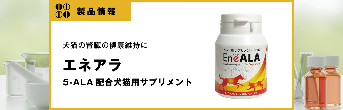 エネアラ｜vet-i-ch｜小動物医療従事者向け Vet-i ch｜物産